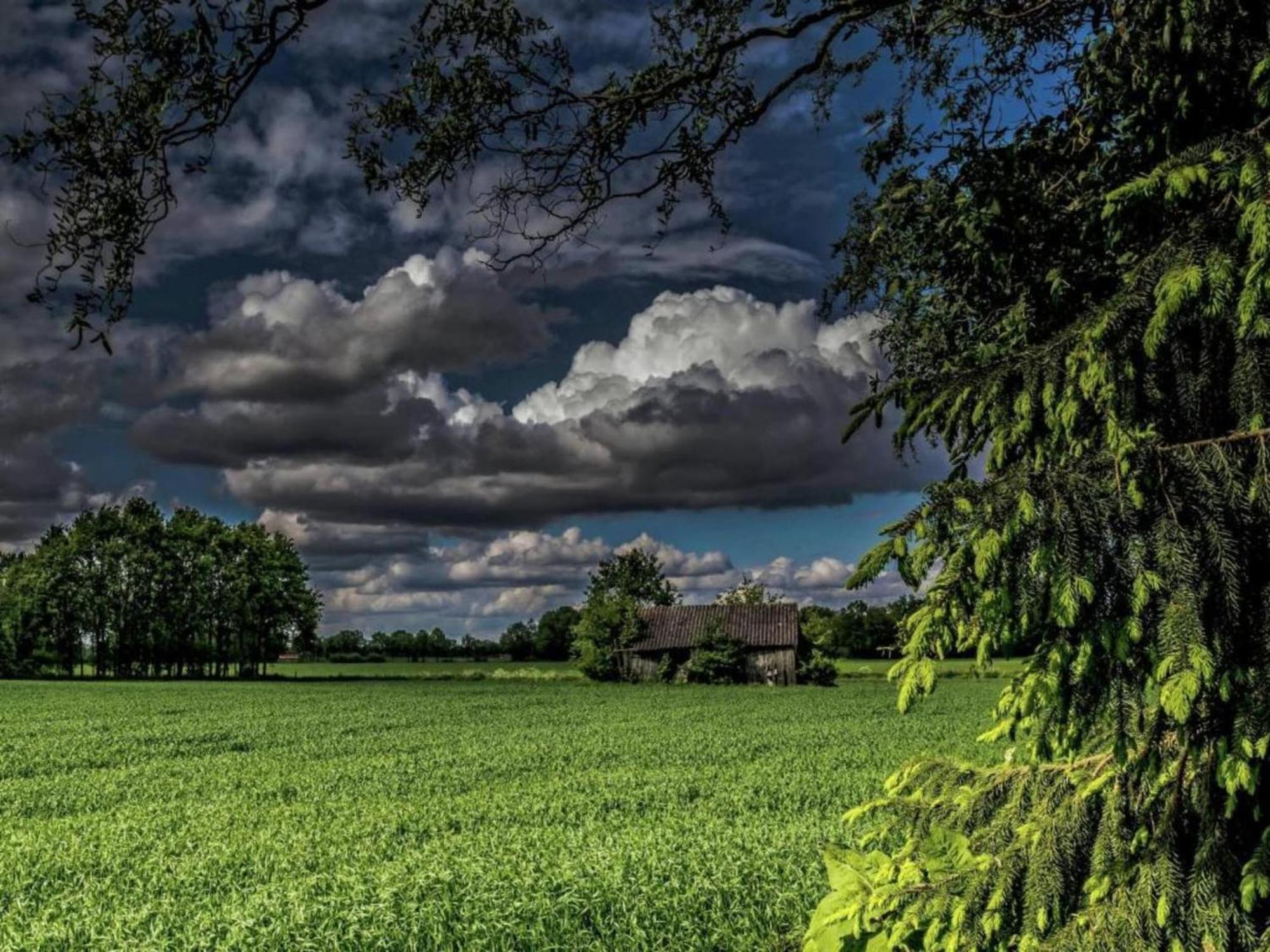 Quaint Farmhouse In Geesteren With Meadow View Dış mekan fotoğraf